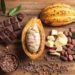 Nigeria Targets $4bn Annually From Leather, Cocoa