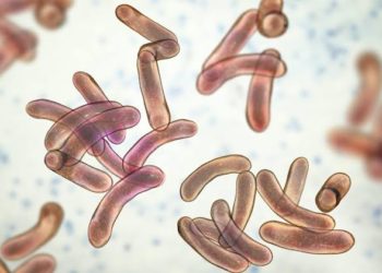 2 Die As Cholera Hits Repentant Terrorists’ Camp In Borno