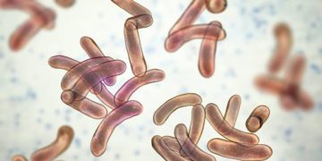 2 Die As Cholera Hits Repentant Terrorists’ Camp In Borno
