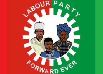 Adamawa Labour Party Removes Chairman