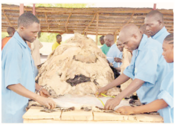 Leather: Nigeria’s Neglected Wealth