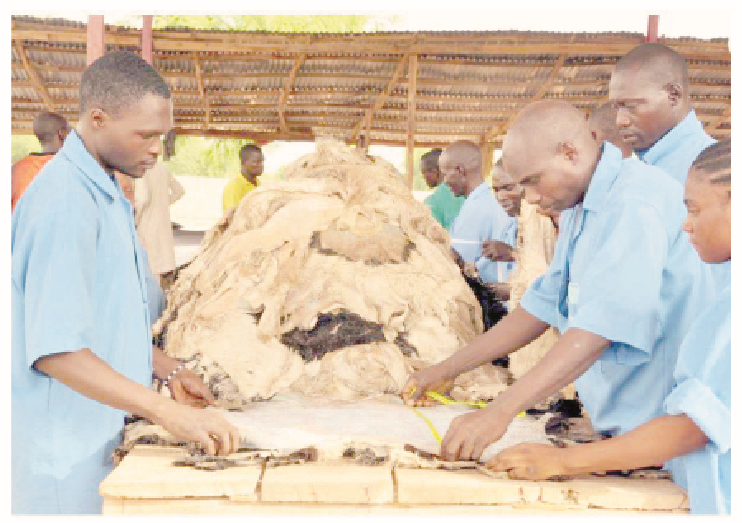 Leather: Nigeria's Neglected Wealth 1 leather making