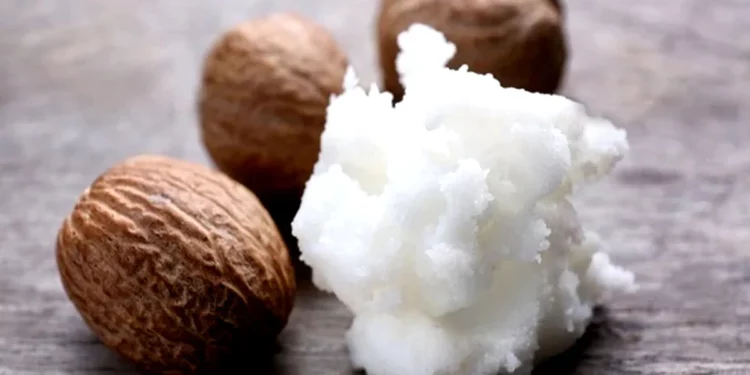 shea butter