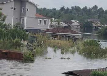 Flood: Rescue N’Delta, Ijaw Women Beg Federal Govt, Int’l Community