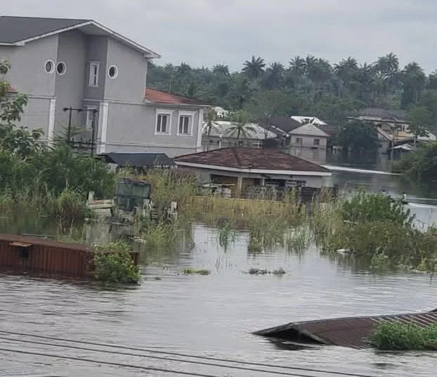 Flood