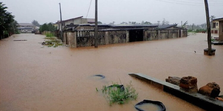 Flood