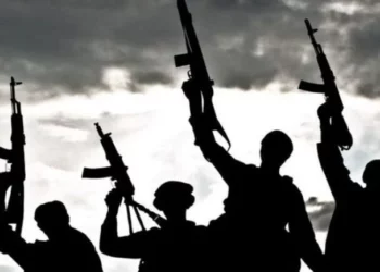 US Terror Alert And Matters Arising