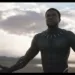 Nigeria To Host African Premiere Of Black Panther