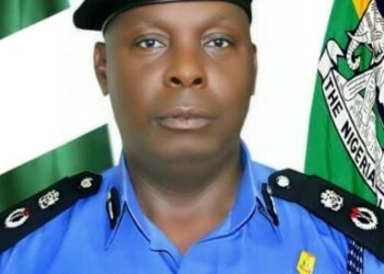2023: Police Warn Kaduna Politicians, Supporters Against Lawlessness