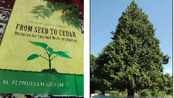Reflections On From Seed To Cedar 1 Capture 22