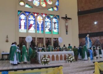 Catholic Church On Politics