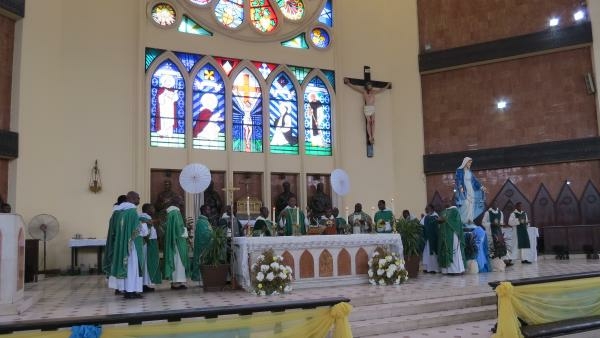 Catholic Priests As Endangered Specie 1 Catholic Church