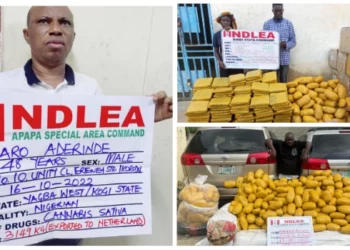 NDLEA Arrests 4 Kingpins Over 16tons Of Drugs In Lagos, Abuja