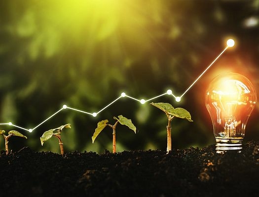 Federal Govt Tasks Accountants On Economic Sustainability, Revenue Generation 1 Economic Sustainability Examples