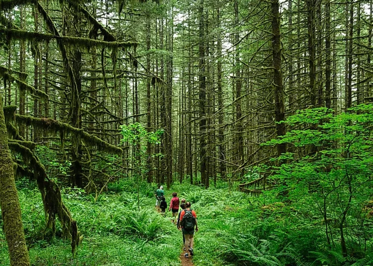 Ecotourism