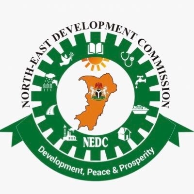 Decade Of Insurgency And NEDC’s Interventions In Yobe 1 IMG 20201228 WA0028