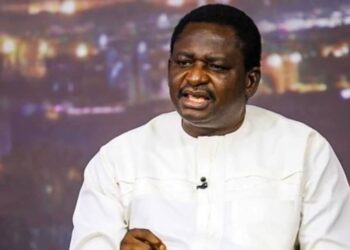 South East Professionals Attack Buhari’s Spokesman Over Profiling Of Igbo
