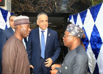 NETCE: Nigeria, Egypt Seal $30m Deals In Cairo