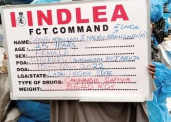 NDLEA Nabs Pregnant Woman, Varsity Student, Others With Illicit Drugs