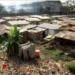 Equatorial Guinea Remains Dubious Destination For Tourists From All Over The World