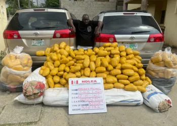 NDLEA Arrests 4 Wanted Drug Kingpins, Others