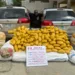 NDLEA Arrests 4 Wanted Drug Kingpins, Others