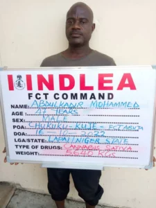 IMG 20221023 WA0013 NDLEA Arrests 4 Wanted Drug Kingpins, Others