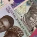 Naira Gets New Face As Current Notes Go Out Of Circulation January
