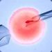 Infertility: IVF Best Option Rather Than Prayer House – Expert