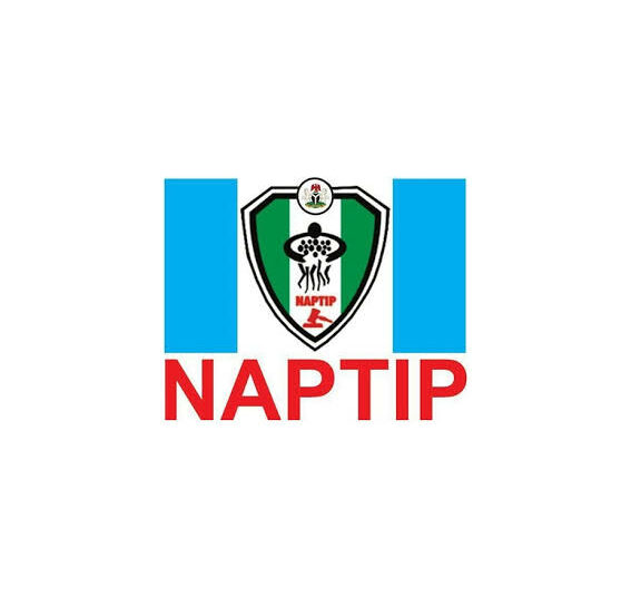 naptip