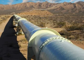 Nigeria To Re-open Trans Niger Pipeline, As NAPIMS Visits Area