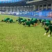 U23 AFCON Qualifiers: Eguavoen Visits Olympic Eagles At Training 5 U23 AFCON Qualifiers: Eguavoen Visits Olympic Eagles At Training