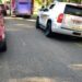 Family Dogs Kill 2 Children, Injure Mum In US