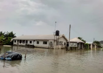 Flood Sacks Delta Monarch, Community