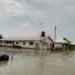 Flood Sacks Delta Monarch, Community