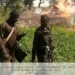 Troops Kill 2 Bandits Off Kaduna-Abuja Highway
