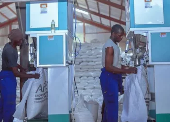 AFEX Unveils 100,000MT Grain Quality Enhancement Centre