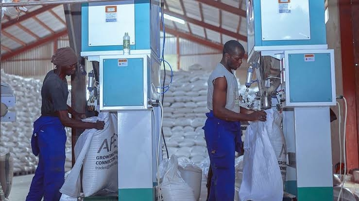 AFEX Unveils 100,000MT Grain Quality Enhancement Centre 1 afex