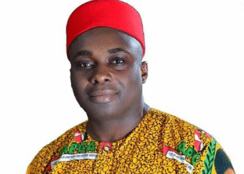 Nigerian MP Decries Extortion, Corruption In ECOWAS COVID-19 Scrutiny