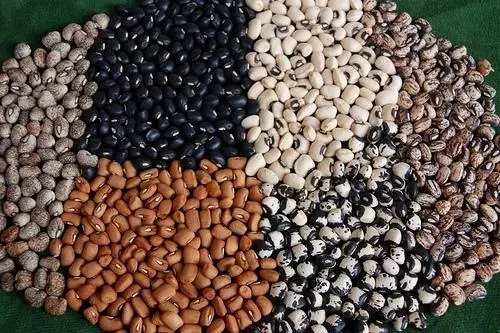 MONEY MATTERS: Making Fortune From Cowpea Business 1 cowpea 1 jpg