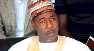 Borno Govt Releases N700m Leave Grants To LG Workers