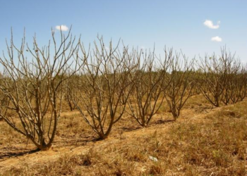 How To Keep Cool Over The Dry Season