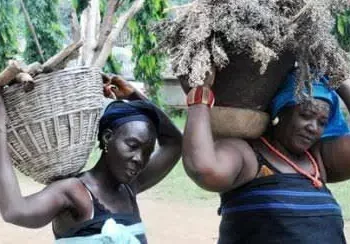 Gbagyi Elders Decry Insecurity, Marginalisation