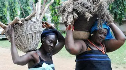 Gbagyi Elders Decry Insecurity, Marginalisation 1 gbagyi