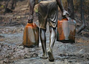 Edwin Clark Seeks Judicial Inquiry Into Oil Theft Saga