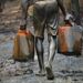 Edwin Clark Seeks Judicial Inquiry Into Oil Theft Saga