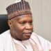 Aide Laments Exclusion Of Gombe Gov From National Honours List