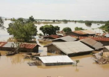 Flood: Bayelsa Residents Grapple With Offensive Odour, Blackout
