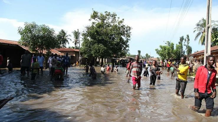 Bayelsa Govt Deploys Mobile Clinics To Assist Flood Victims 1 images 2022 10 24T105100.852