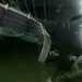 Indian Bridge Collapse Kills 60 